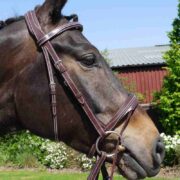 Silver Crown Valla Noseband - shown on horse