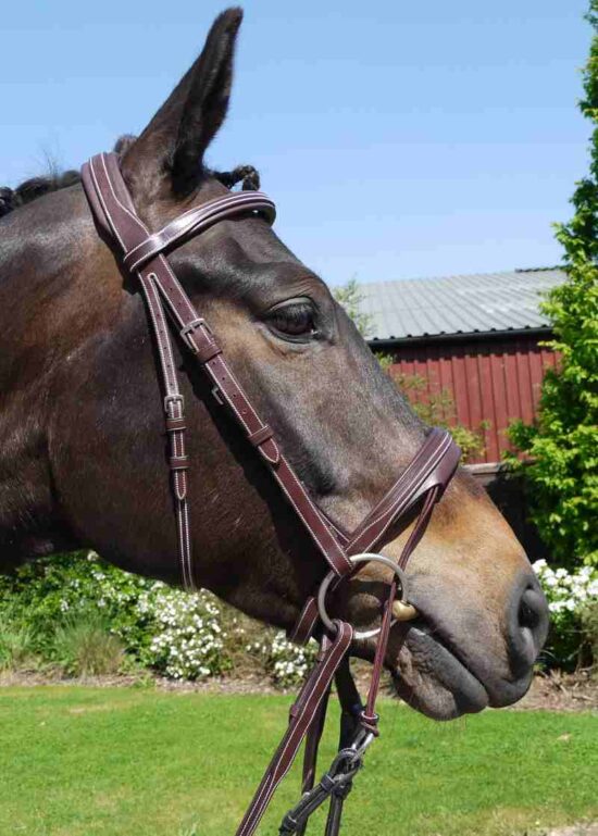 Silver Crown Valla Noseband - shown on horse