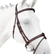 Flash Noseband