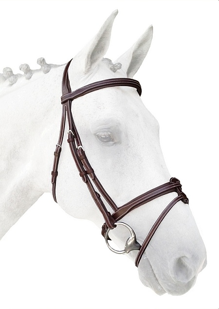 Flash Noseband