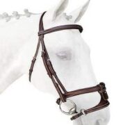 Silver Crown X Nose Noseband