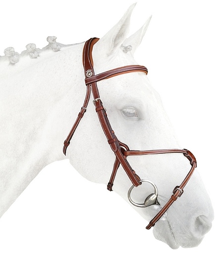 Figure 8 Mexican Noseband from Silver Crown