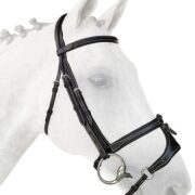 Silver Crown X Nose 2 Removable Noseband