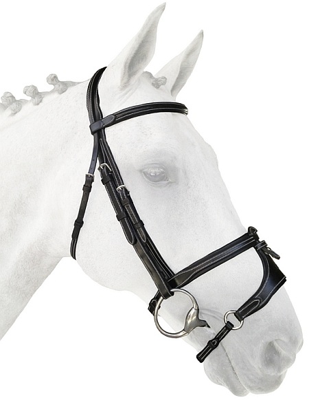 Silver Crown X Nose 2 Removable Noseband