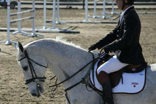 Ogilvy Equestrian Friction Free Saddle Pad with V Top Shape