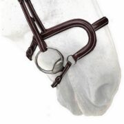 Nosebands