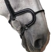 Silver Crown H Noseband in Round Leather - Black