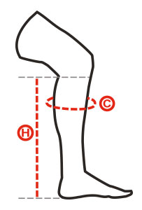 Measure Calf at Widest Point