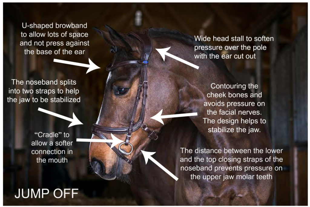 PS Of Sweden Jump Off Bridle Revolution in Brown