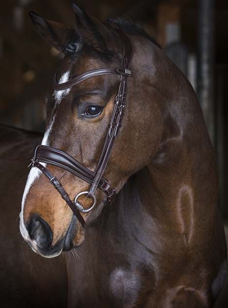 Flying Change Dressage Bridle by PS Of Sweden in Brown