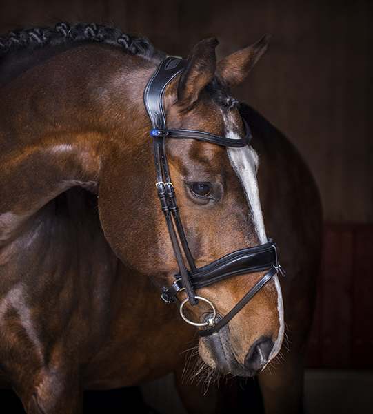 Flying Change Dressage Bridle by PS Of Sweden in Black