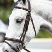 VRTACK Hunter Bridle "Agra" shown with Blinkers