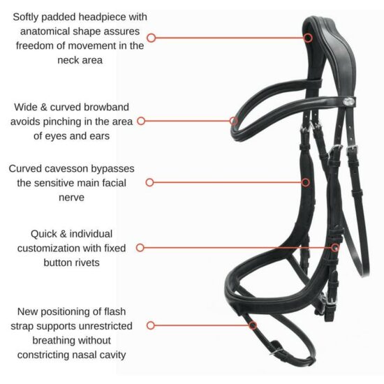 Schockemoehle Sports Equitus Alpha Anatomic Bridle - Explanation of how it works