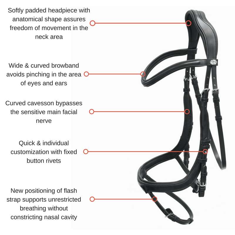 Schockemoehle Sports Equitus Alpha Anatomic Bridle - Explanation of how it works