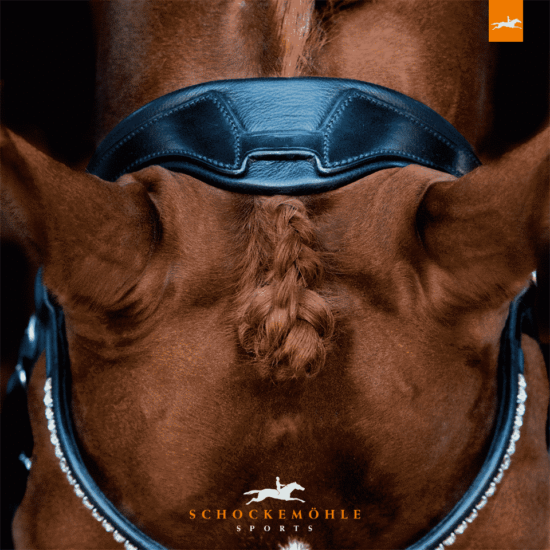 Schockemoehle Sports Dressage Double Bridle Anatomic - Venice