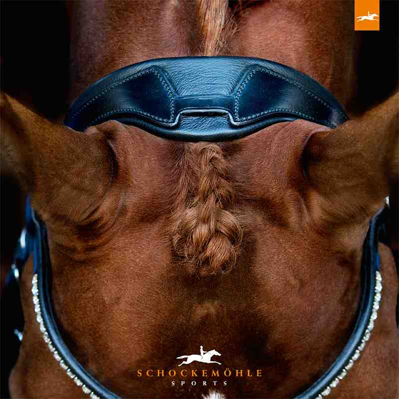 Schockemoehle Sports Anatomic Dressage Snaffle Bridle - Malibu