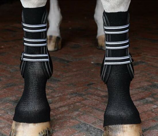 EquiFit Gel Sox in Black