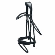 Dressage Bridles