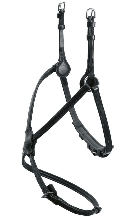 Schockemoehle Sports Figure 8 Padded Anatomical Noseband - Black