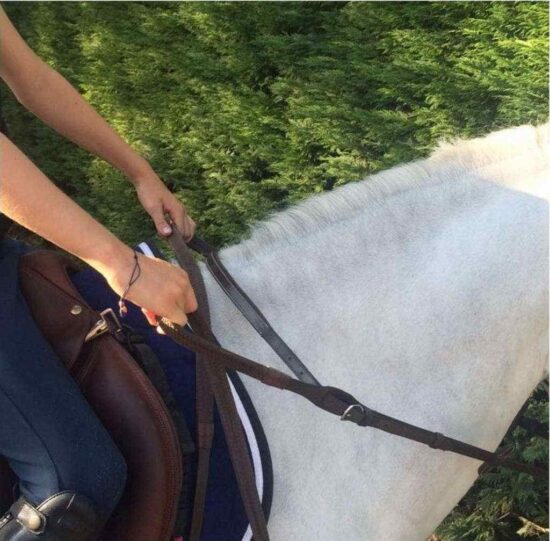 Silver Crown Training Reins Coltaf