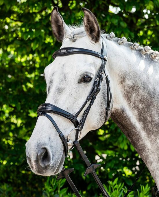 Prestige Anatomic Fancy Stitched Padded Raised Hunter English Bridle - Black