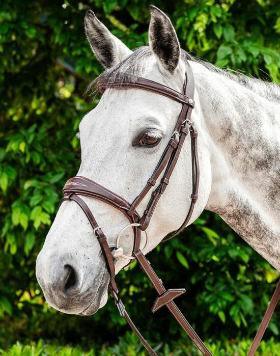 Prestige Anatomic Fancy Stitched Padded Raised Hunter English Bridle - Brown