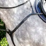 Prestige Anatomic EVO Breastplate with Long Adjustable Bridge - Black