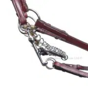 Neue Schule Turtle Tilt Weymouth Bit