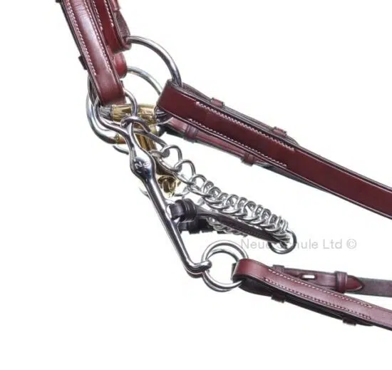Neue Schule Turtle Tilt Weymouth Bit