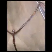 Dyon Fancy Stitched Padded Breastplate B434