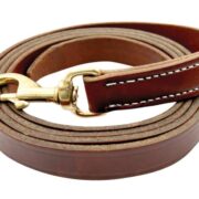 Walsh leather Lead with No Chain