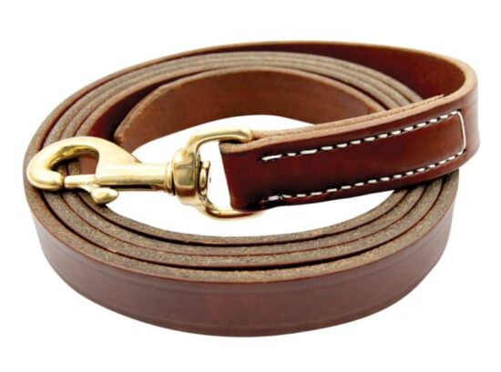 Walsh leather Lead with No Chain