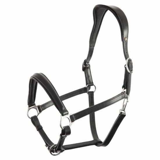 BR Anatomic Padded Round Raised Adjustable Halter "Aberdeen"