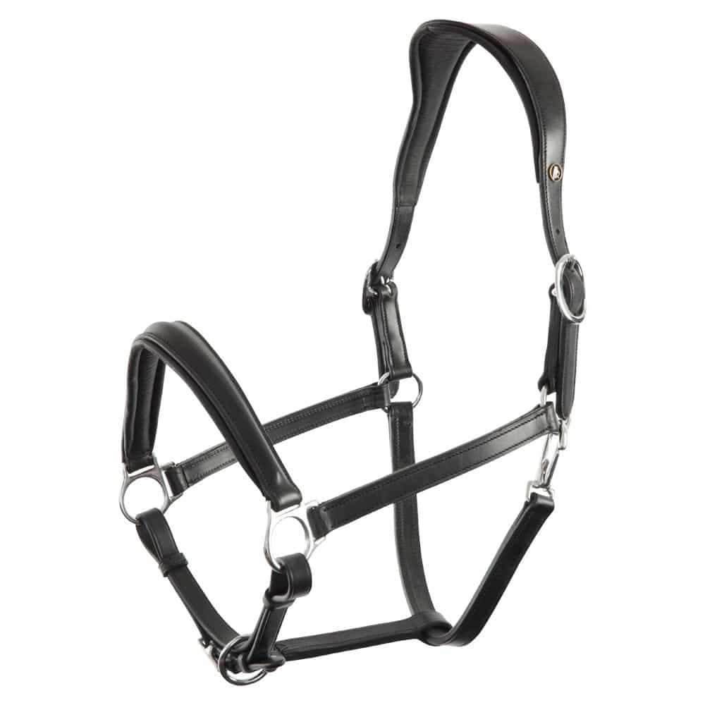 BR Anatomic Padded Halter Adjustable with Round Raised Noseband Aberdeen  • TackNRider