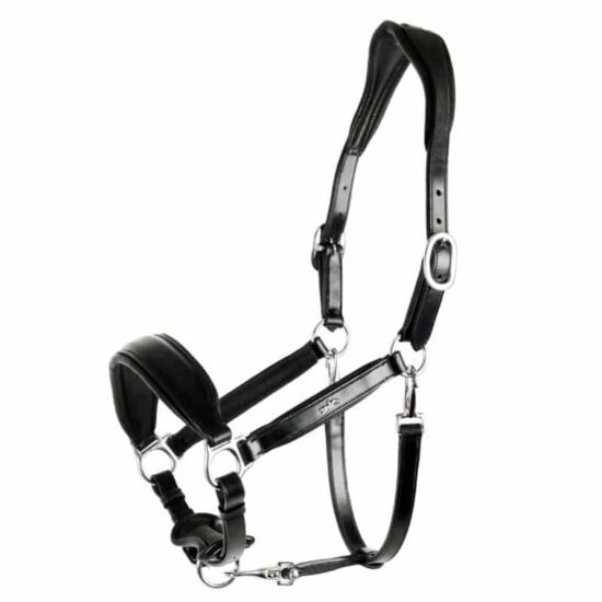 Schockemoehle Sports Anatomic Padded Halter - Black