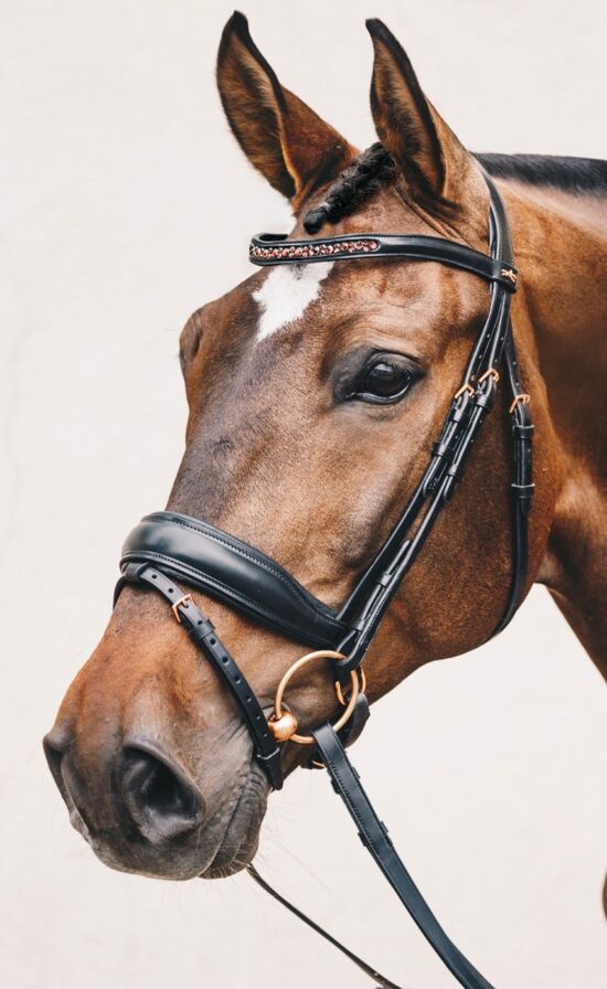 Schockemoehle Sports Snaffle Dressage Bridle with Rose Gold Browband and Buckles "Stanford S"