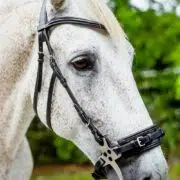 VRTACK Hackamore Bridle - Black