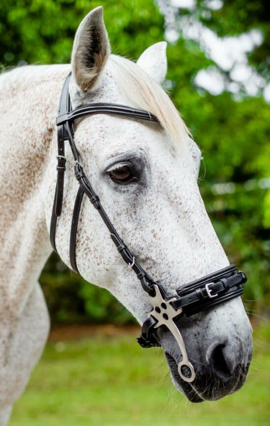 VRTACK Hackamore Bridle - Black