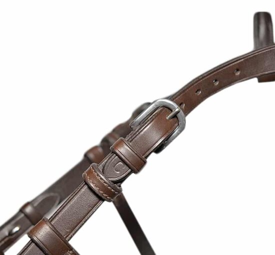 Hackamore Leather Bridle