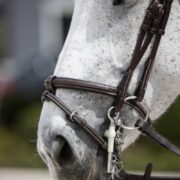 Leather Double Bridle by VRTACK "Bombay"