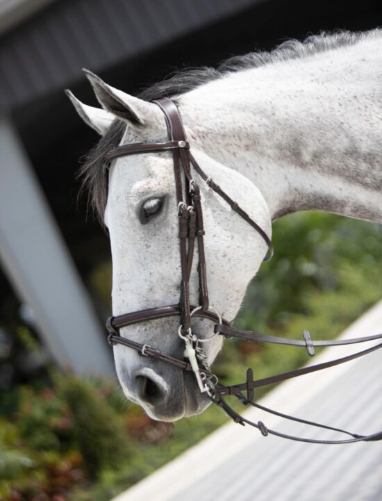 Leather Double Bridle by VRTACK "Bombay"