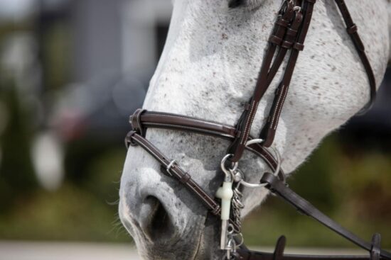 Leather Double Bridle by VRTACK "Bombay"