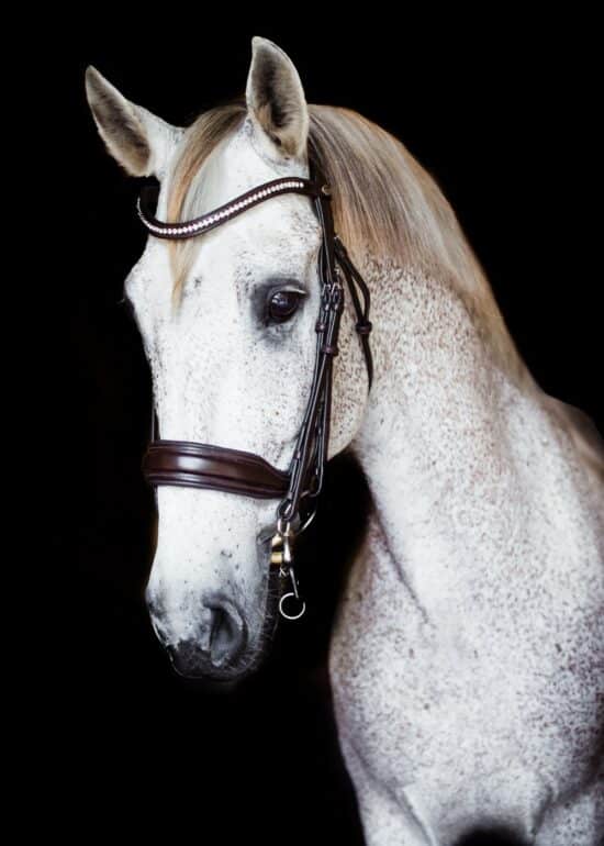 VRTACK Dressage Double Bridle - Brown