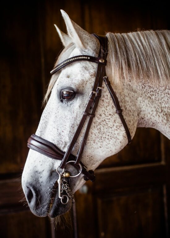 VRTACK Dressage Double Bridle - Brown