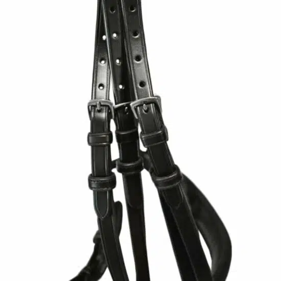 Anatomic Padded Dressage Snaffle Bridle with Flat Leather "Madras"