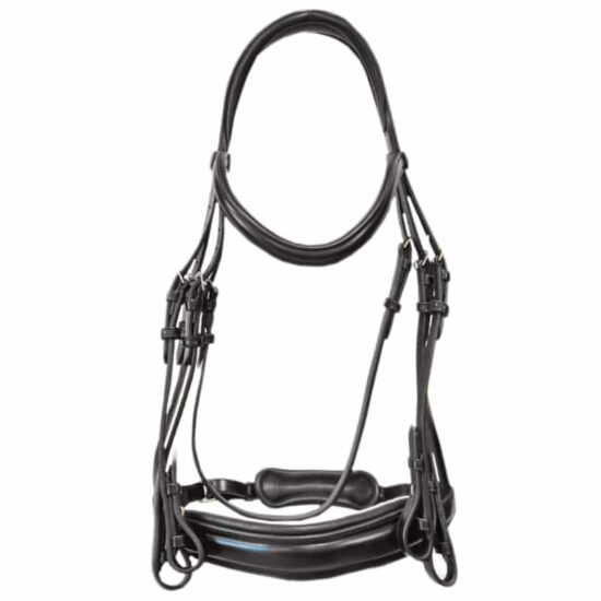 Anatomic Padded Dressage Snaffle Bridle with Flat Leather "Madras"