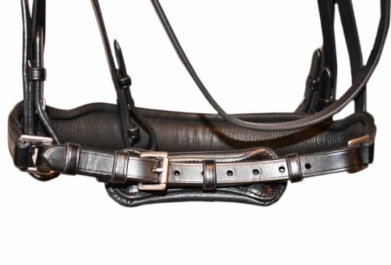 Anatomic Padded Dressage Snaffle Bridle with Flat Leather "Madras"