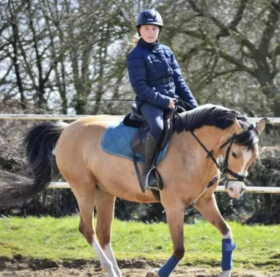 Rein Rite Training Aid - In Action On Horse