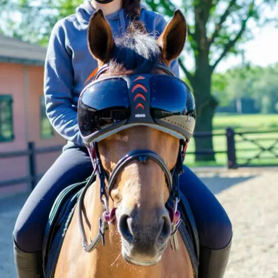 Horse Eye Wear Visor with UV Protection Lens - Dark