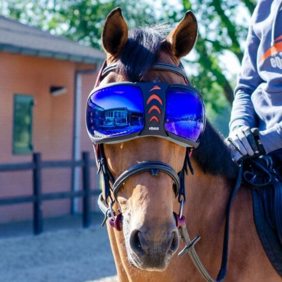 Horse Eye Wear Visor with UV Protection Lens - Blue